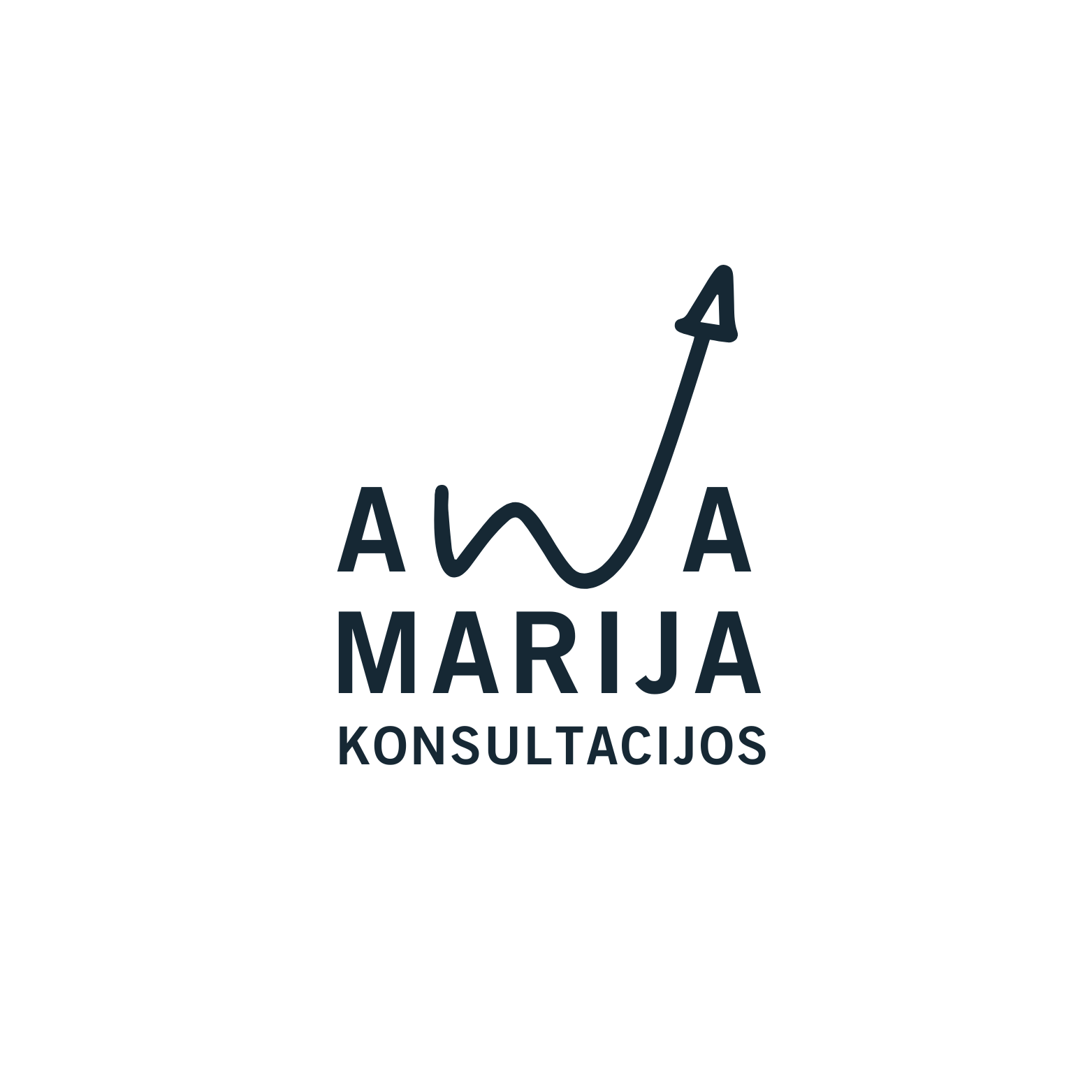 AnaMarijaKonsultacijos Logo 2